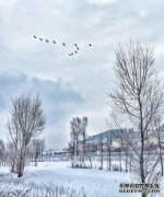 天气变冷，雪变强，将是一年。