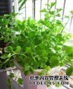 有很多人吃的食物，但他们不知道学名。这个名