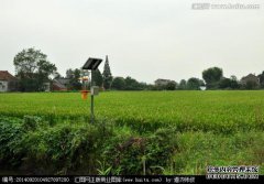 生长竹林的野生植物具有抗寒性和抗毒性，但它