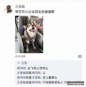 雷军开了一个荣耀，并发布了一个带有技术科学