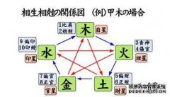 8个字符胜过盗窃，财富之星，印度之星