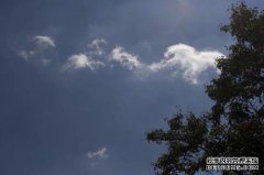 张瑜序出场前的三句老话
