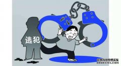 哪些罪行是在线逃犯？