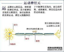呼吸机怎么了？-Kanger 365家庭健康护理网络论坛，