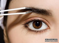 你眉毛不足吗？