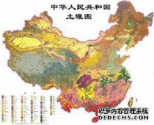 森林中的磷与土壤中的磷有什么区别？