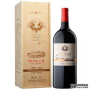 外部文件Nya隐藏的解密版本外部文件Nya丢失的游