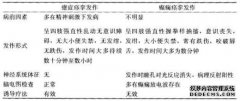 什么是Vl设计？名词的解释是什么？