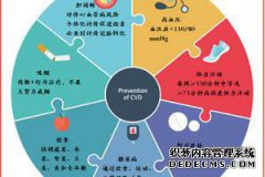 如何预防糖尿病性心血管疾病