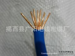 RV电源线或BV电源线两根电线有什么区别？