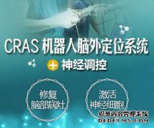 在19q之前的人中快速增长脑瘫L方法的正确方法是