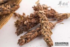 夏曹的角色