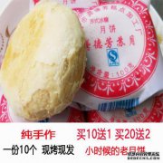 免费阅读《秦始苏·苏月尔全书》