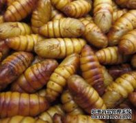 区分“出发”，“存在”和“围困”。