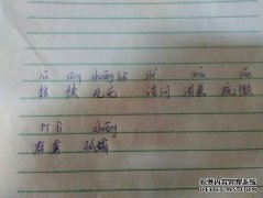 PI是什么意思？