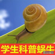 91点数学，小学神对“阿里蜗牛赛跑”做出反应！