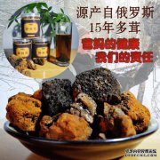 如何吃白桦茸。