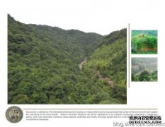 [区档案室]广东省乡村-广东省自然乡村的历史人