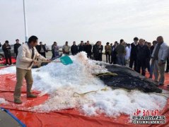 启东国家座头鲸死亡奥运队进行爱国主义教育。