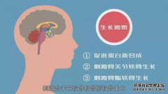 垂体激素失衡会影响怀孕吗？