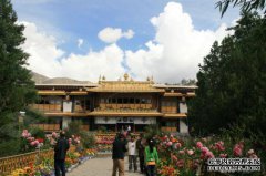 前往日本的一座寺庙体验佛陀的生活，并在Airb